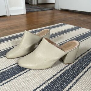 Intentionally Blank Dicey Mule